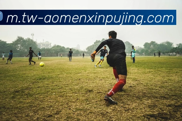 新葡京娱乐平台生态图