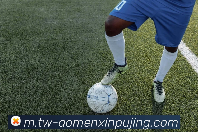 辅助工具 辅助工具